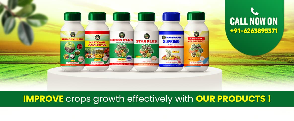 Kohinoor Powder Banner 2